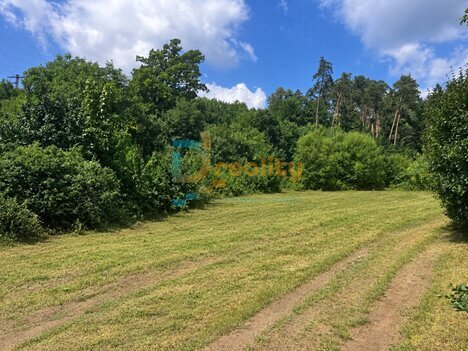 Prodej stavebního pozemku v Brně Obřany u lesa