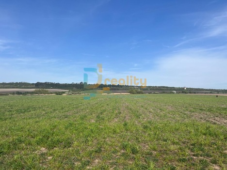 Prodej souboru pozemků 38 046 m², Dřísy, okres Praha-východ